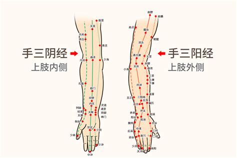 點穴不能動|點中不能動的秘穴－經筋手療思路(永康堂‧張老師)｜痞客